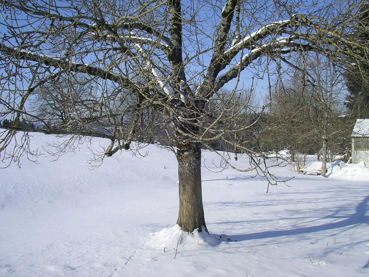 Das Allgäu Maierhöfen Exterior foto
